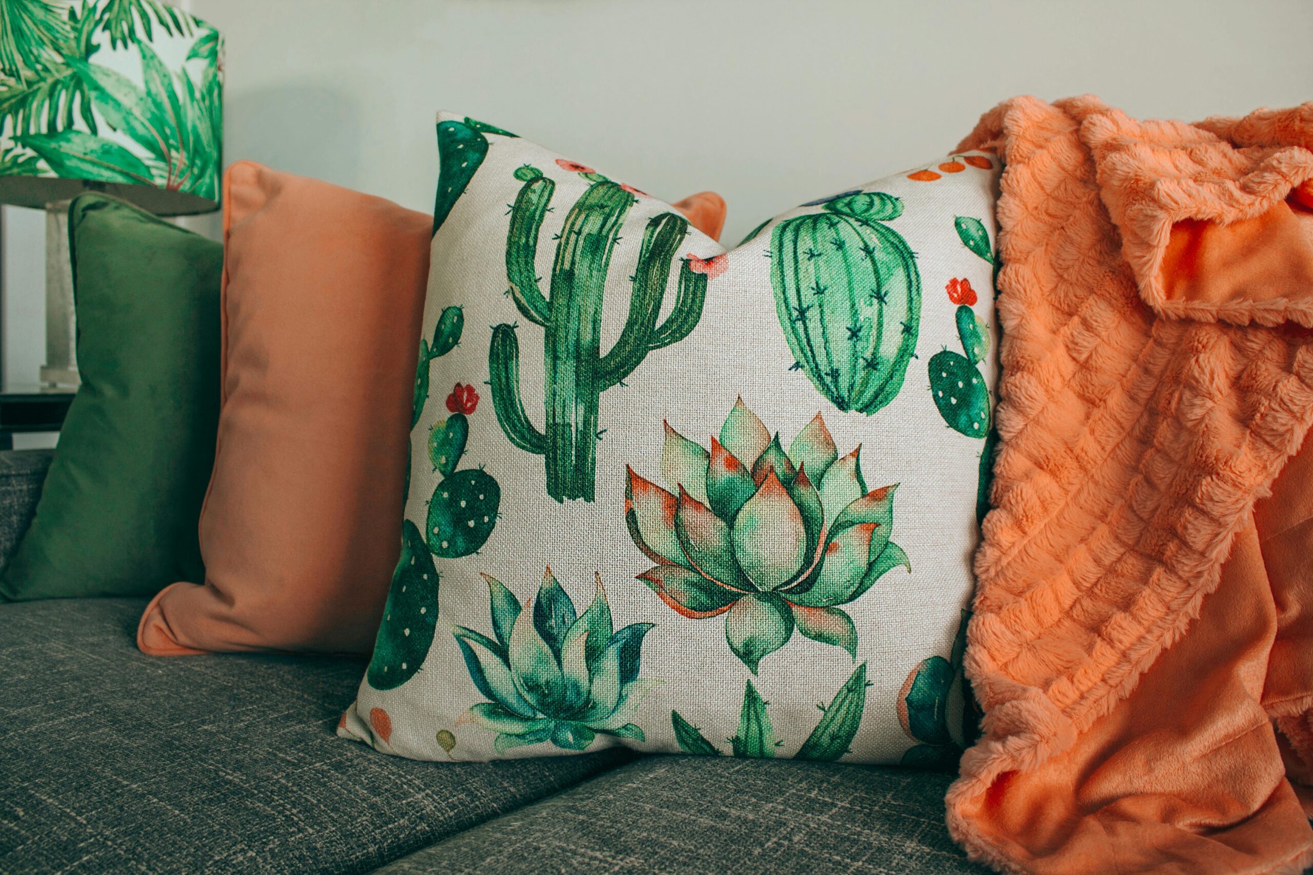pexels-designecologist-1239221